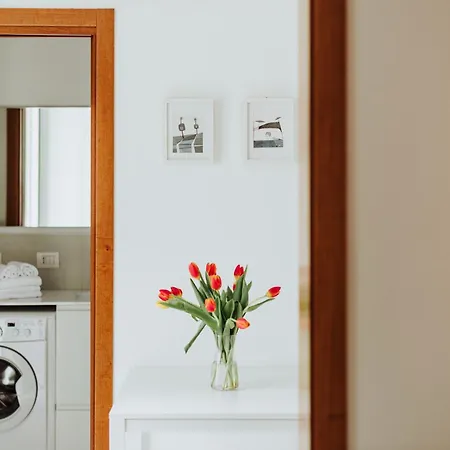 La Colmena - Zona Centro Apartment *